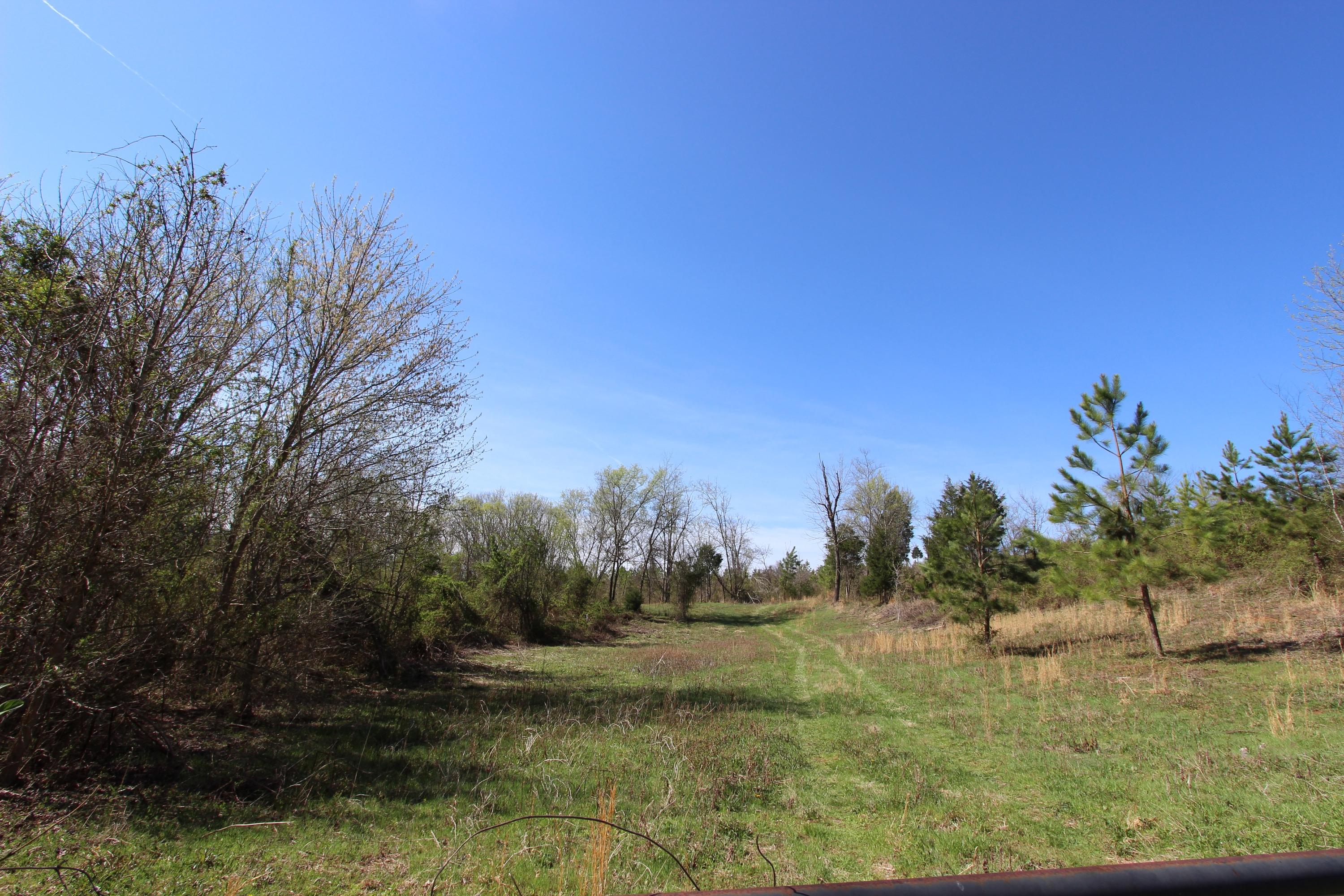 Foshee Road Loudon, TN 37774 - Photo 1 of 2 Land View 1