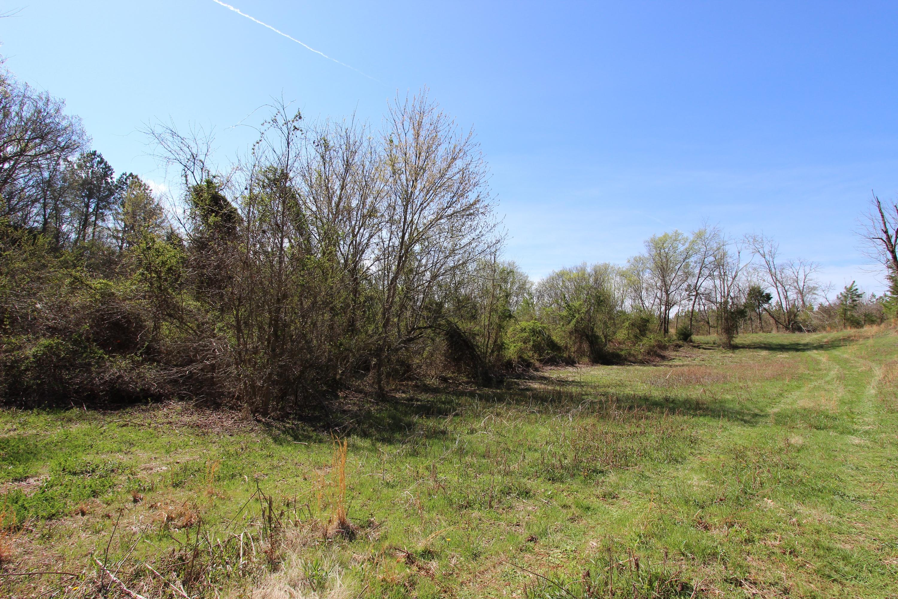 Foshee Road Loudon, TN 37774 - Photo 2 of 2 Land View 2