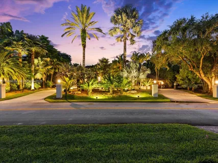 a view of a yard with a tree