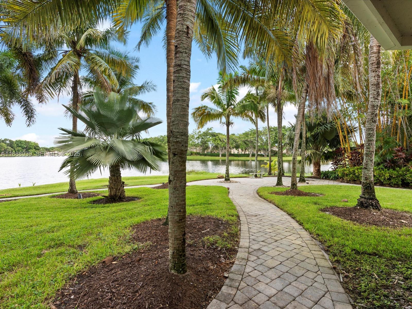 2941 Paddock Lane Weston, FL 33331 - Photo 86 of 90 a view of a park with palm trees