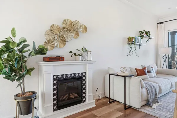 a living room with furniture and a potted plant