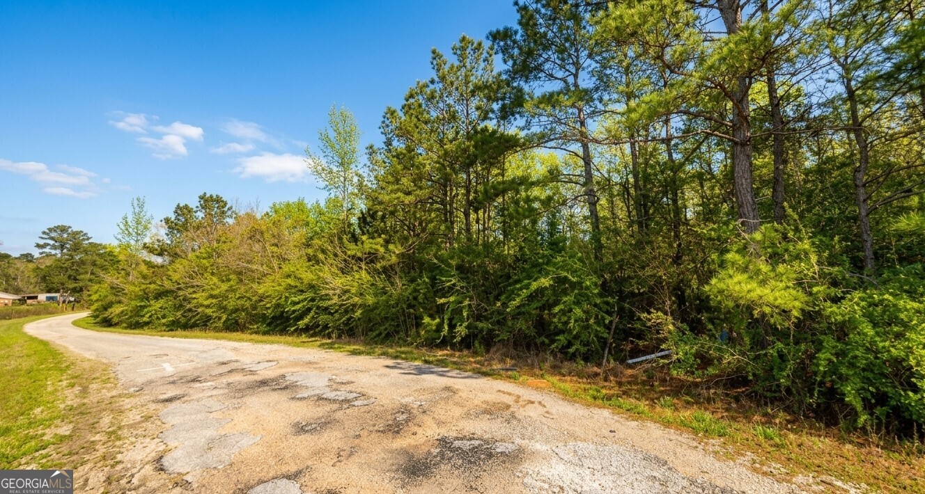 0 Old Franklin Road Tuskegee, AL 36083 - Photo 2 of 8