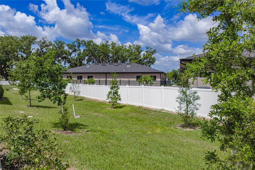 30688 Veridian Way Wesley Chapel, FL 33543 - Photo 50 of 55 a view of a house with a yard and a garden