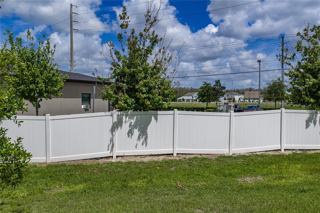 30688 Veridian Way Wesley Chapel, FL 33543 - Photo 51 of 55 a view of a backyard