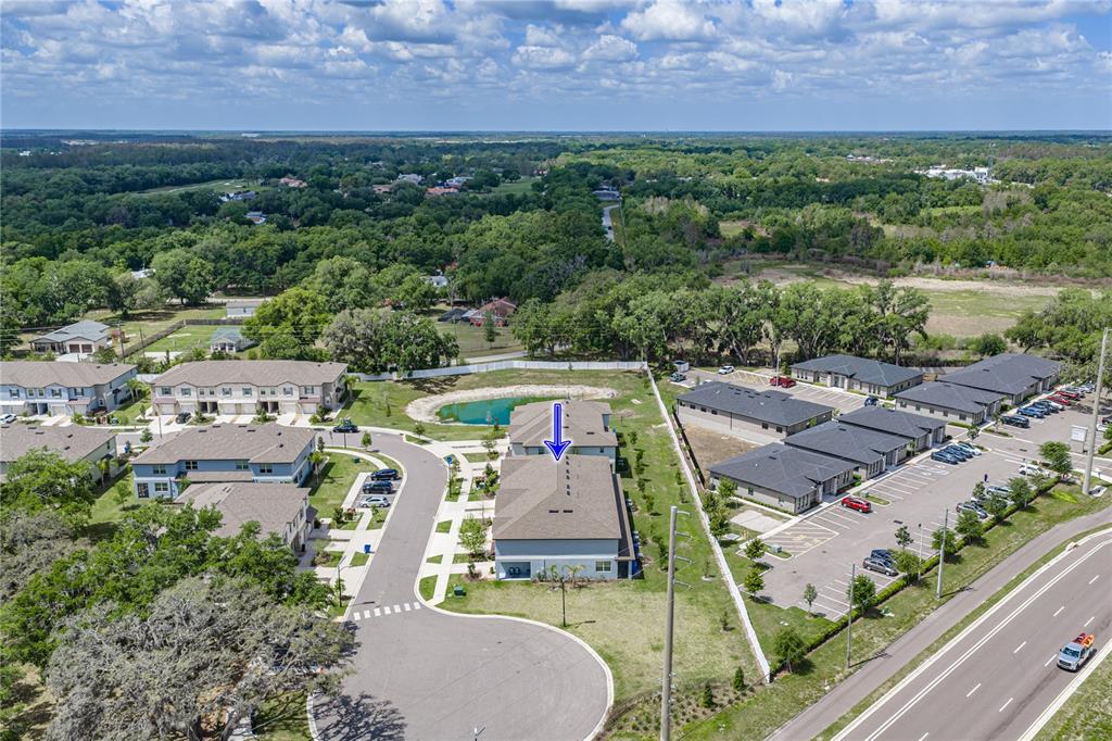 30688 Veridian Way Wesley Chapel, FL 33543 - Photo 55 of 55 an aerial view of a house with a garden