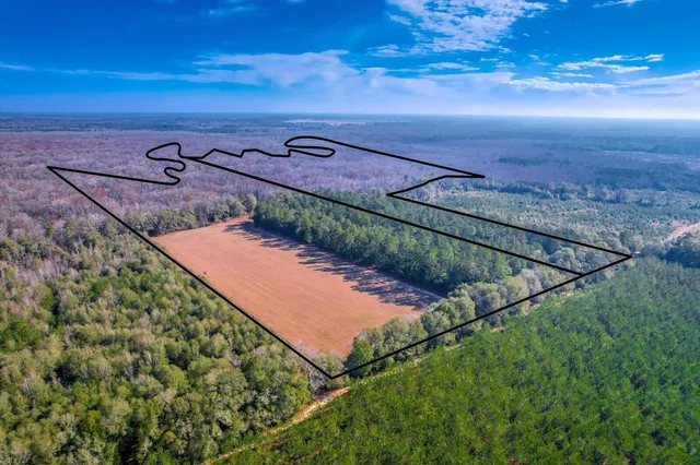 $1,500,000 | 1114 Lott Bluff Road, Blackville, SC 29817