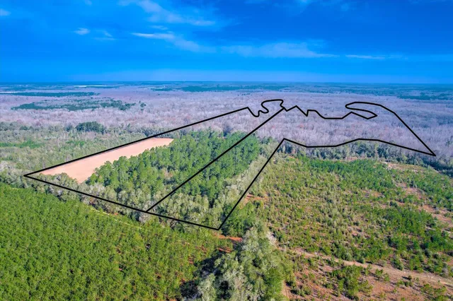 $1,500,000 | 1114 Lott Bluff Road, Blackville, SC 29817