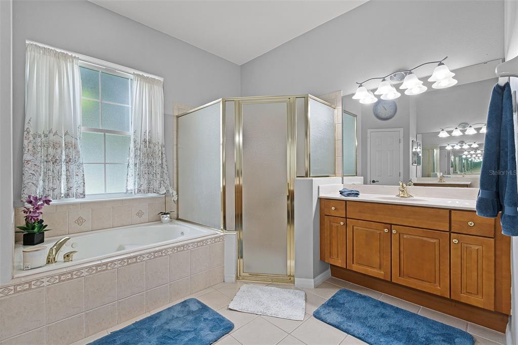 1124 Hidden Bluff Clermont, FL 34711 - Photo 16 of 25 a bathroom with a tub a double vanity sink and a mirror