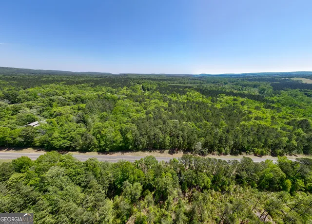 a view of a field with an ocean