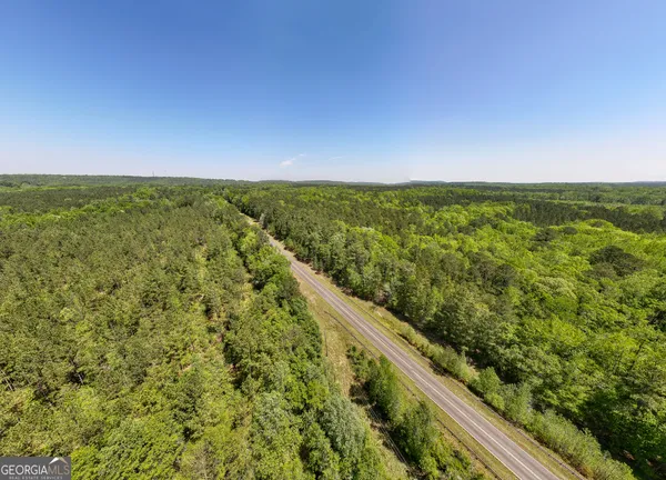 a view of a field with a tree in the background