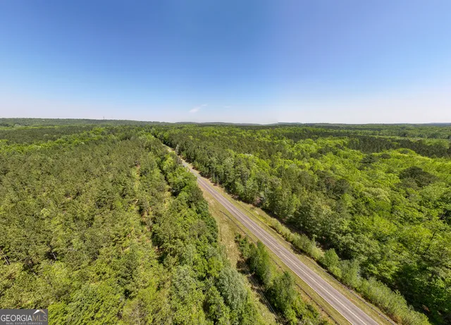 a view of a park with large trees