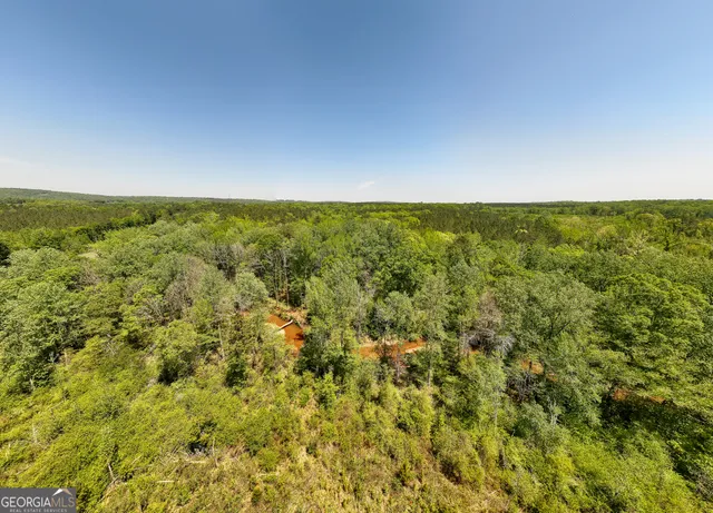 a view of a lake with a city