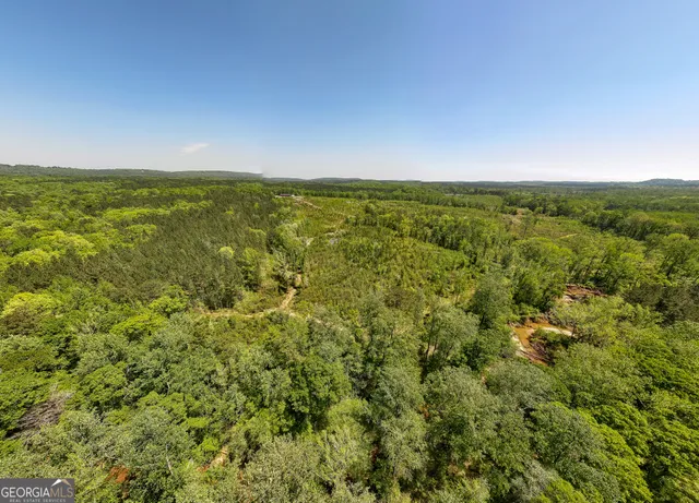 a view of a lake with a city