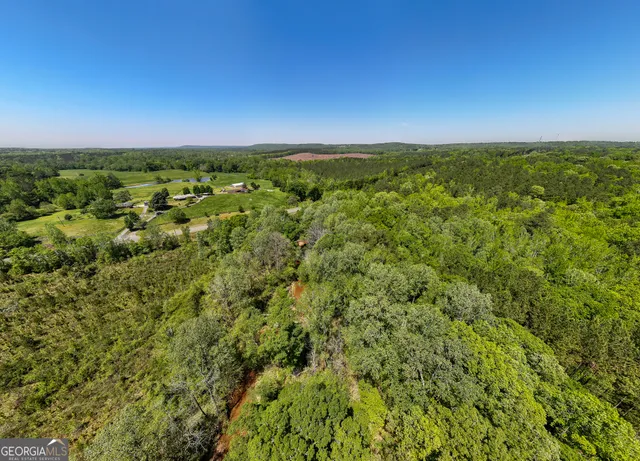 a view of a city with lush green forest