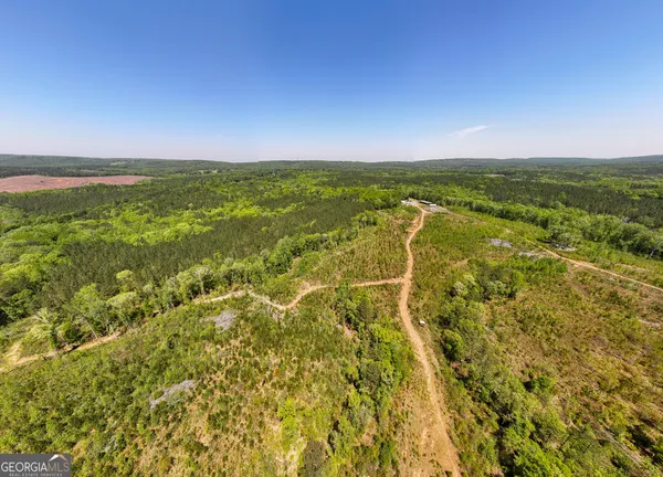 a view of a tree in a yard