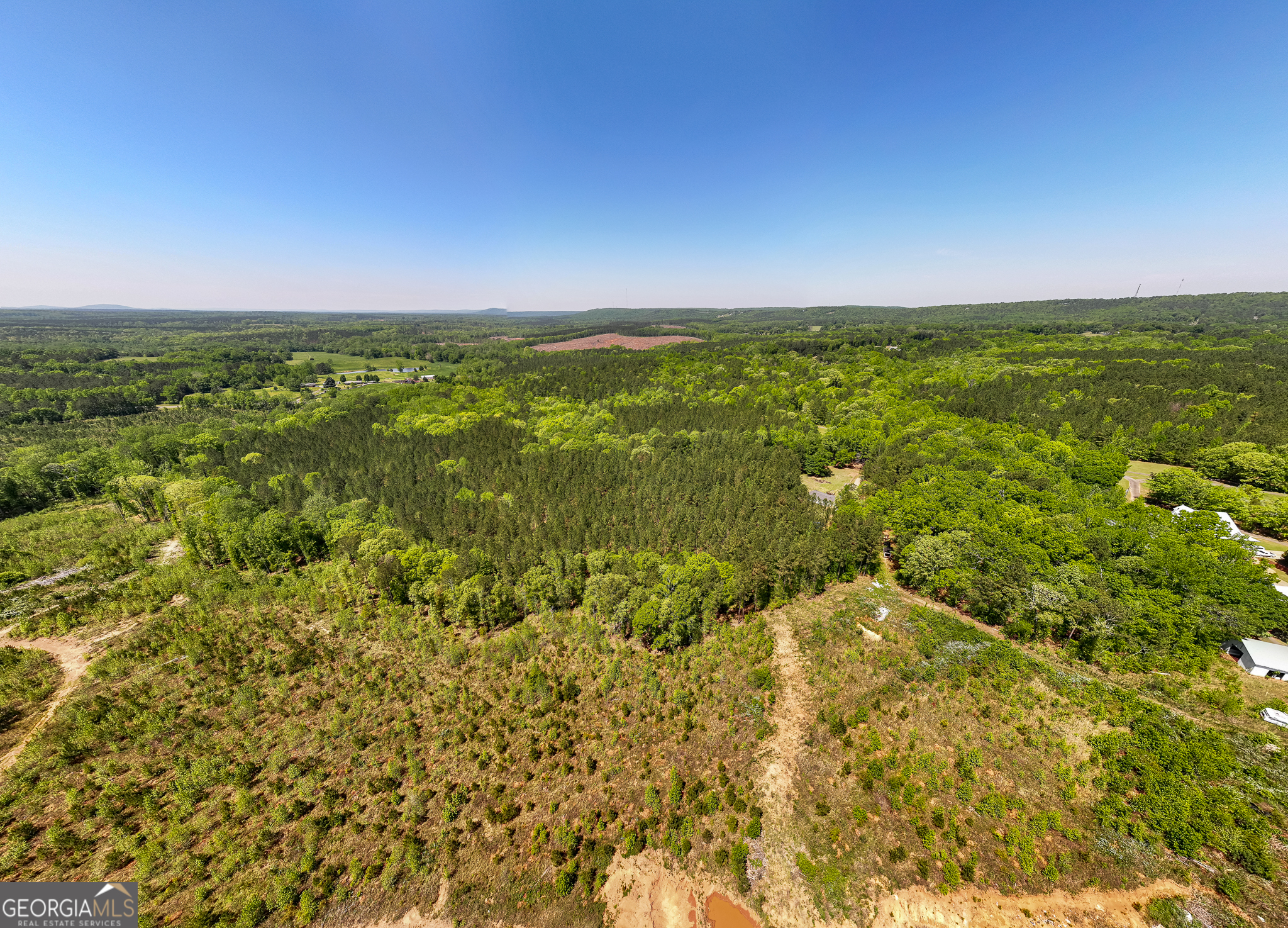 1755 Hunsinger Road Shiloh, GA 31826 - Photo 41 of 62 a view of an ocean