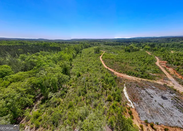 a view of a tree in a yard