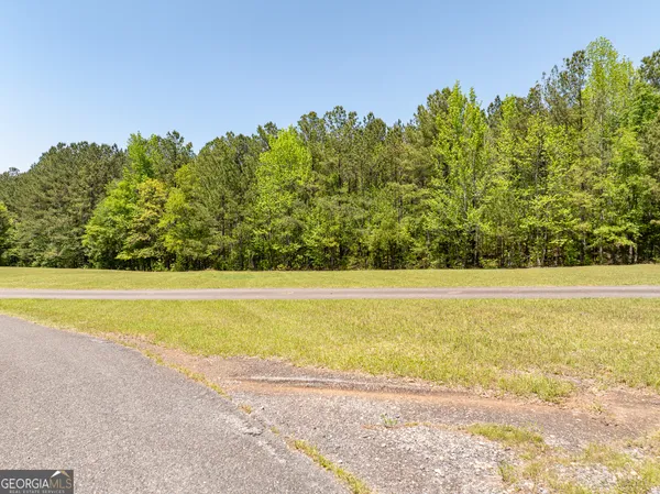 $2,995,000 | 1755 Hunsinger Road, Shiloh, GA 31826