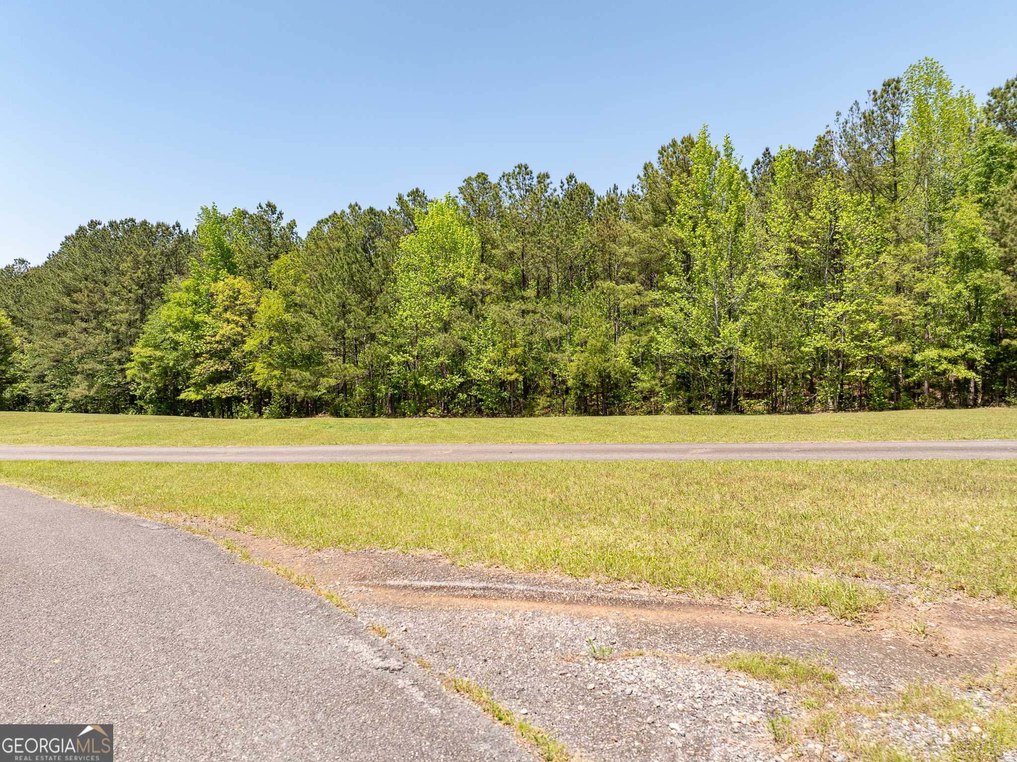 1755 Hunsinger Road Shiloh, GA 31826 - Photo 55 of 80 a view of a yard with an outdoor space