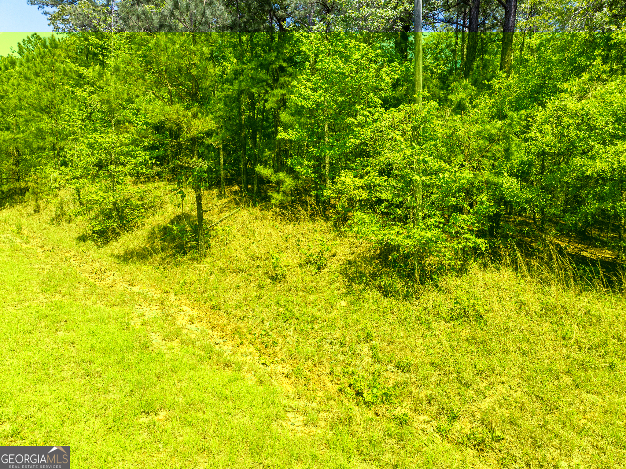 1755 Hunsinger Road Shiloh, GA 31826 - Photo 58 of 62