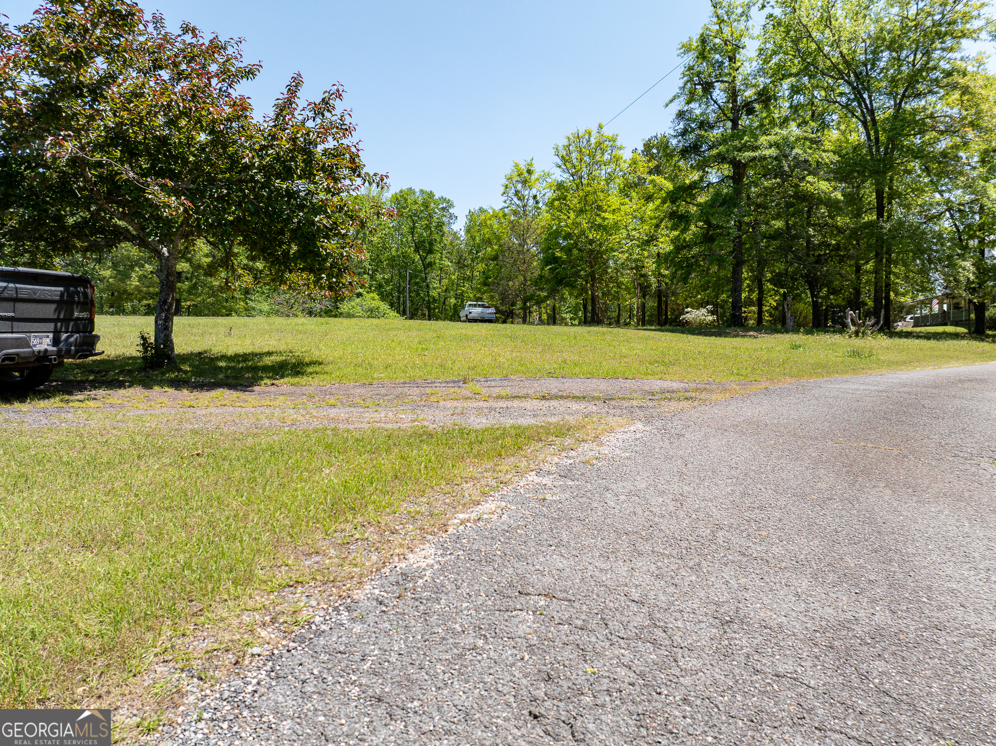 1755 Hunsinger Road Shiloh, GA 31826 - Photo 59 of 80 a view of a yard with a trees