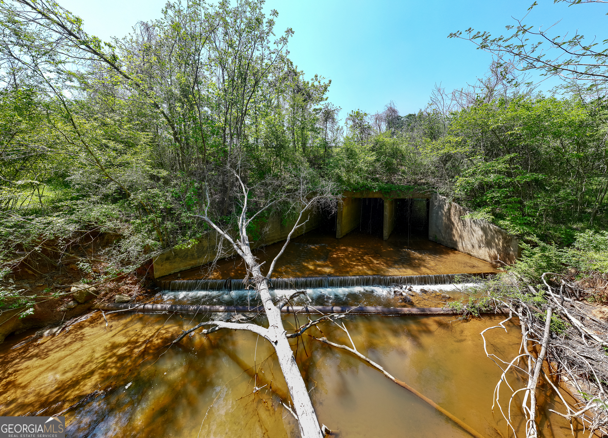 1755 Hunsinger Road Shiloh, GA 31826 - Photo 60 of 62 a backyard of a house with table and chairs