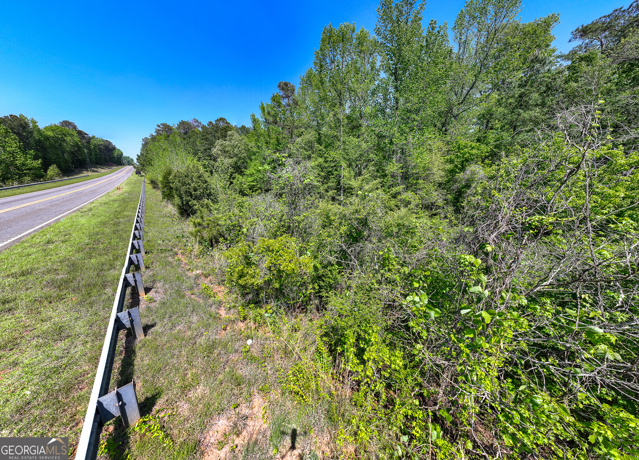 1755 Hunsinger Road Shiloh, GA 31826 - Photo 62 of 62 a view of a yard with plants and large trees