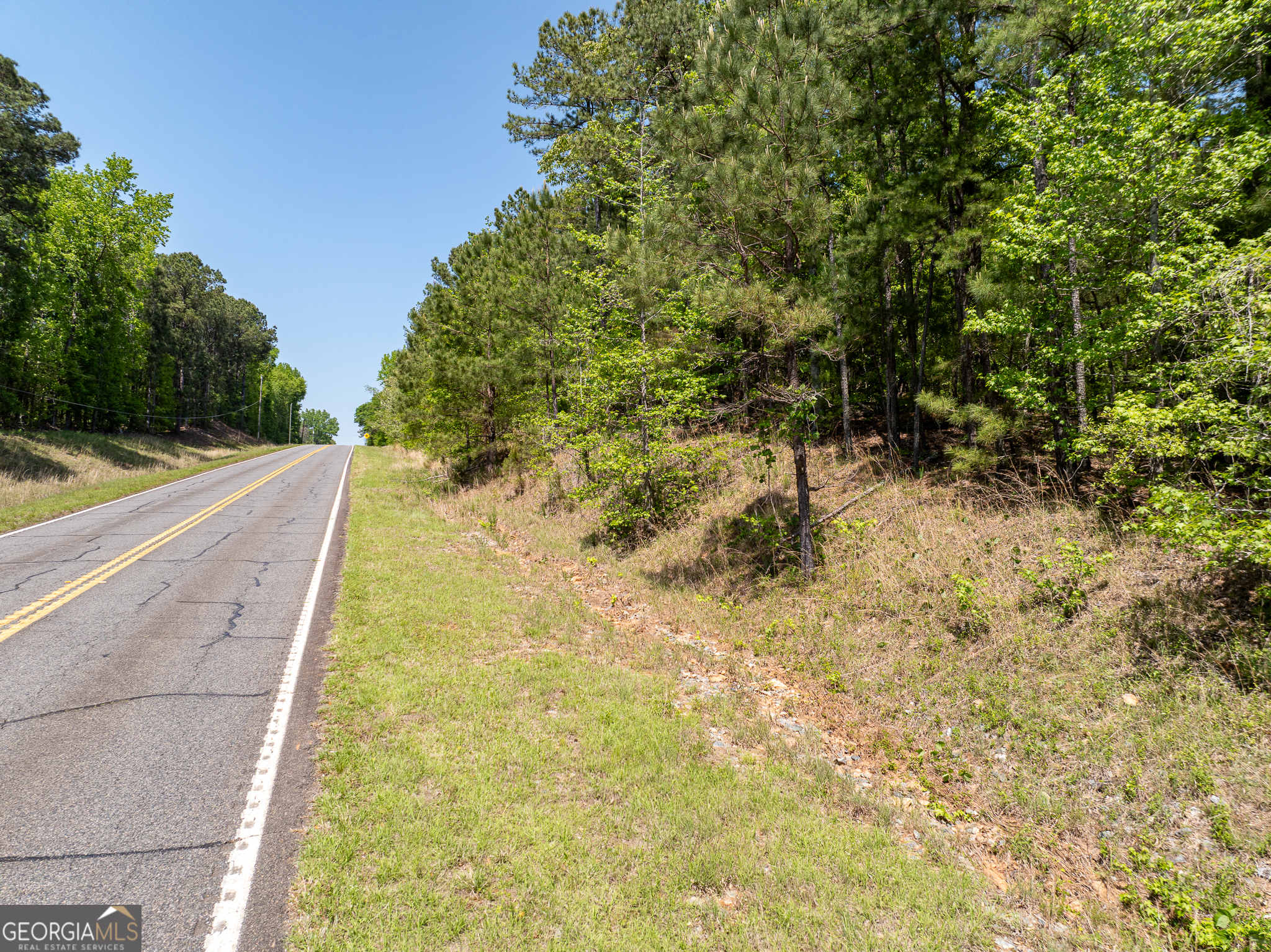 1755 Hunsinger Road Shiloh, GA 31826 - Photo 69 of 80 a view of a yard with plants and trees