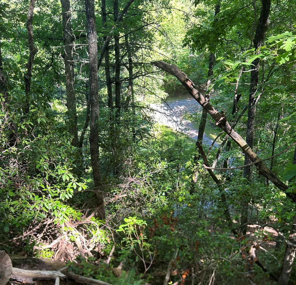 Lot 38 River Ridge Murphy, NC 28906 - Photo 3 of 16