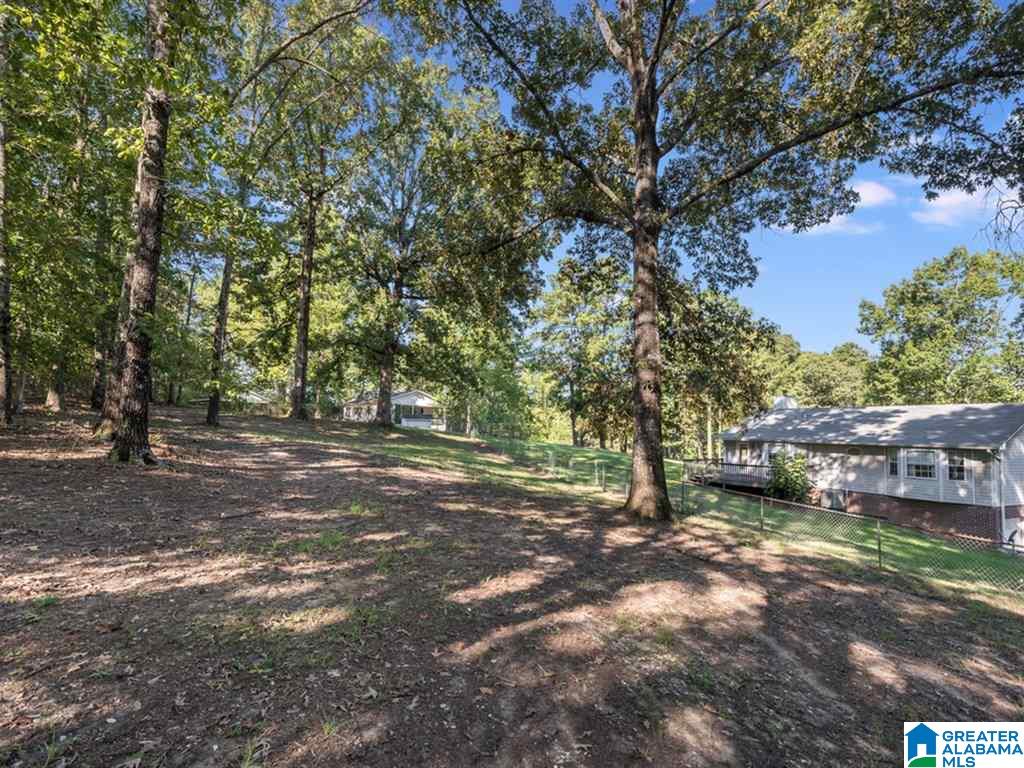 555 Pike Road Woodstock, AL 35188 - Photo 28 of 30