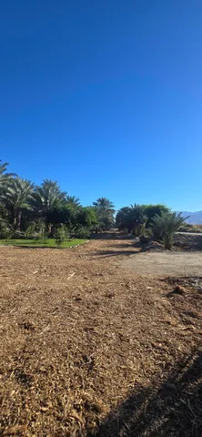 a view of a backyard of the house