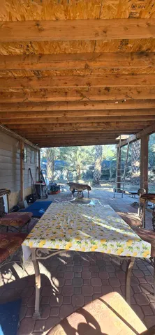 a view of a backyard and plants