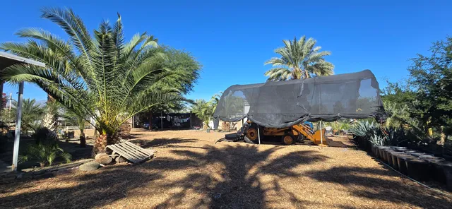 a view of a field with a tree in the background