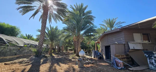 a view of a backyard of the house