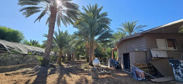 a view of a backyard of the house
