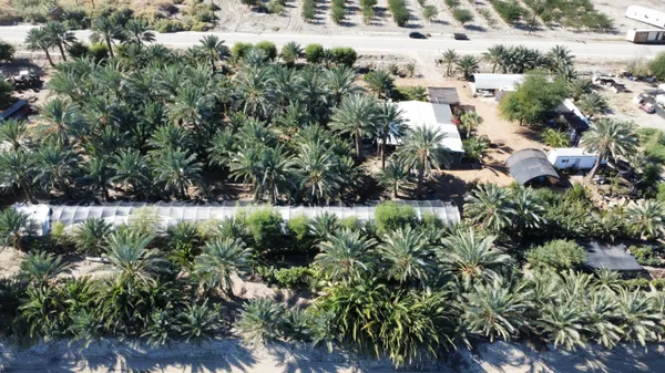 an outdoor view of garden