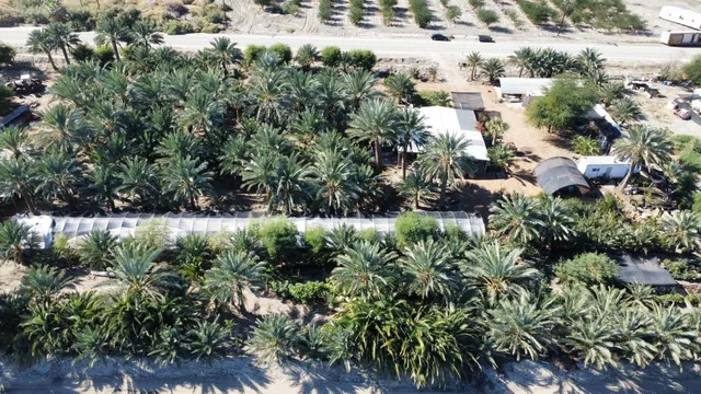 an outdoor view of garden