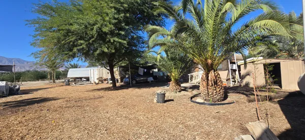 a view of outdoor space with seating area and trees