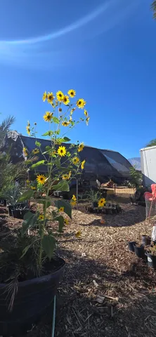 a view of an ocean beach
