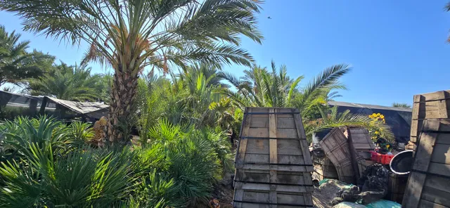 a view of a lake from a yard