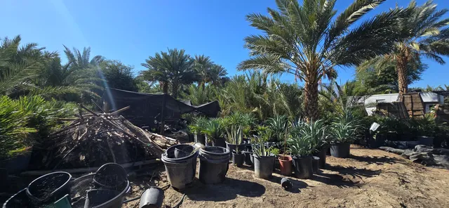 a view of an ocean beach