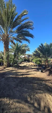 a view of an ocean beach