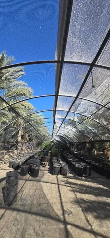 $1,500,000 | 76850 Pierce Street, Thermal, CA 92274