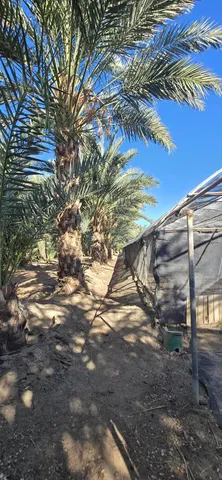 $1,500,000 | 76850 Pierce Street, Thermal, CA 92274