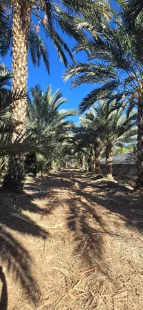 $1,500,000 | 76850 Pierce Street, Thermal, CA 92274