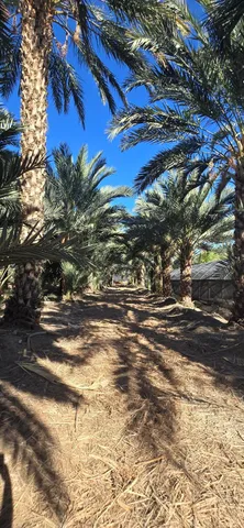 $1,500,000 | 76850 Pierce Street, Thermal, CA 92274