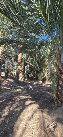 $1,500,000 | 76850 Pierce Street, Thermal, CA 92274