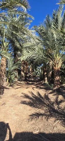 $1,500,000 | 76850 Pierce Street, Thermal, CA 92274