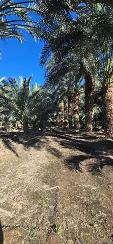 $1,500,000 | 76850 Pierce Street, Thermal, CA 92274