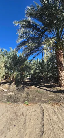 $1,500,000 | 76850 Pierce Street, Thermal, CA 92274